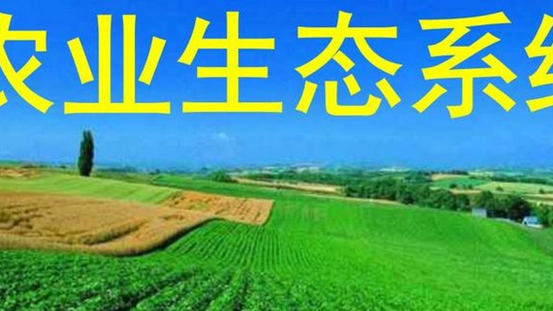 农业产业园数字化系统：未来农业的智能引擎**
