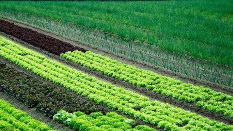 智能温室安装施工：标准与规范解析