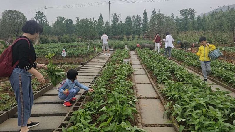 农资物流运输合同模板：构建安全高效供应链的关键