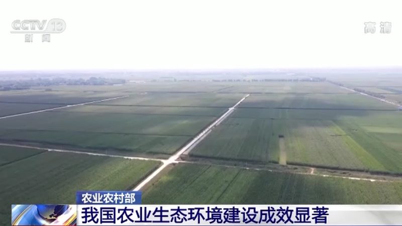 选址标准：地理位置与交通便利性