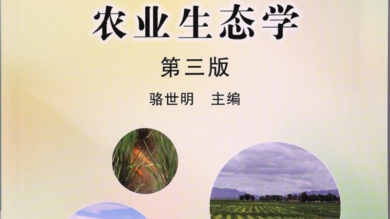 开小型农产品批发店：从选址到运营的全方位解析