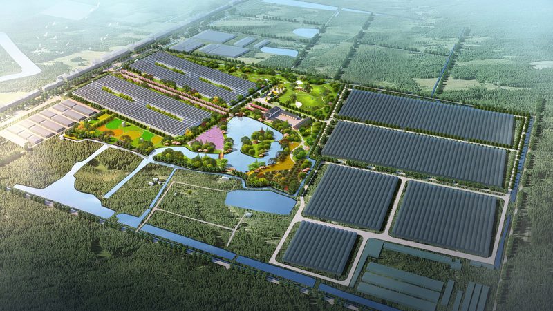 现代农业示范区建设标准评审要点解析**