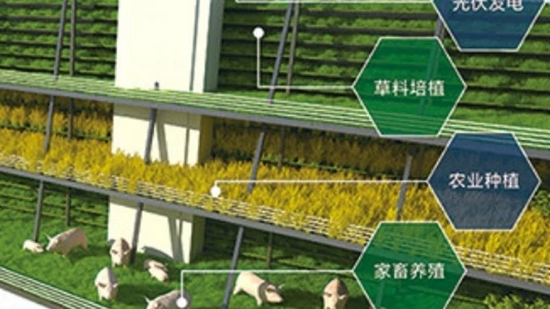 农业园区灌溉系统：成本构成与选型考量**
