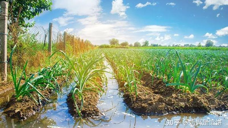 水培设备技术参数怎么看