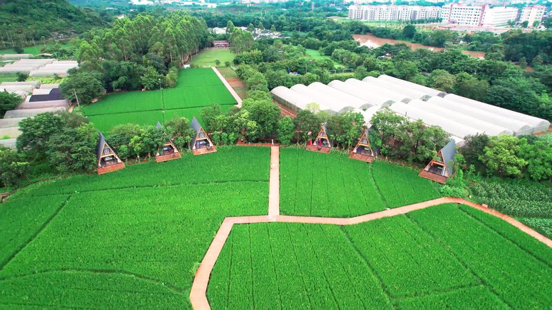 合作社新成员：农民专业合作社注册全攻略