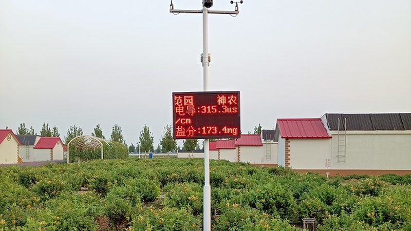 冻品农产品批发：注意事项清单解析