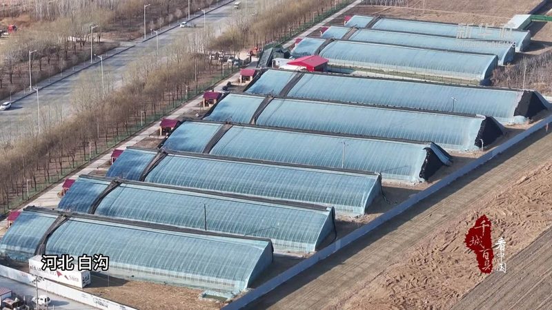 绿色食品认证机构推荐