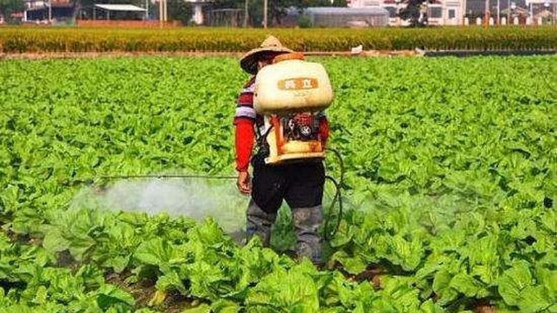农民专业合作社税收优惠代理服务