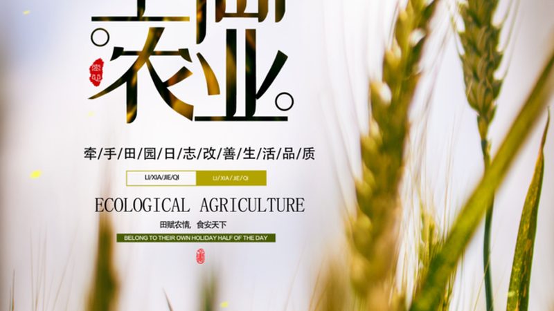 生态农业大棚种植技术哪家好